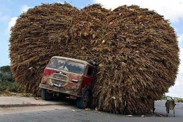 Truck drivers in India